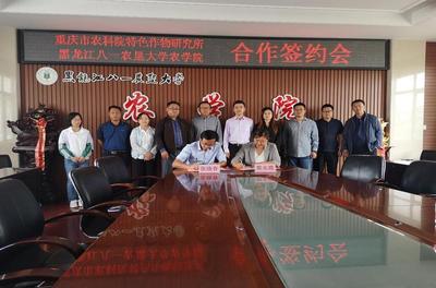 南北攜手筑種業新高地 農學院與重慶市農科院特色作物研究所深化合作，共促重慶特色作物技術升級